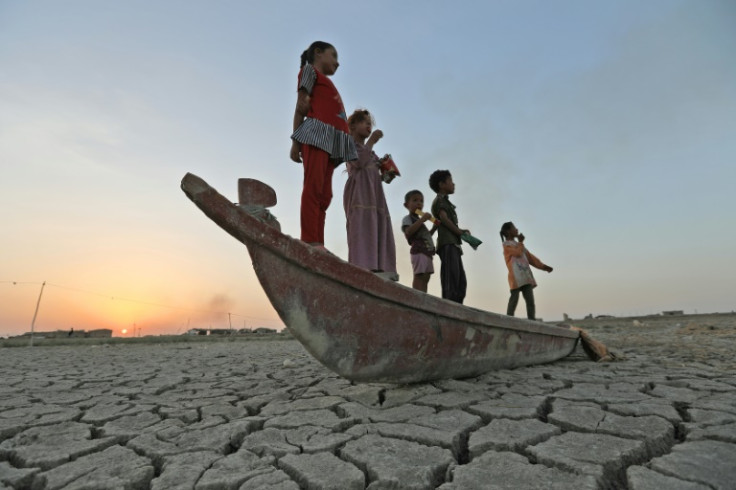 The reputed home of the biblical Garden of Eden, Iraq's swamplands have been battered by three years of drought