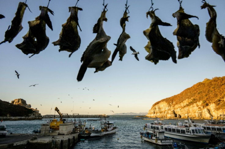 Seagulls fly above fishing boats and dried fish (top) at a port on Baekryeong