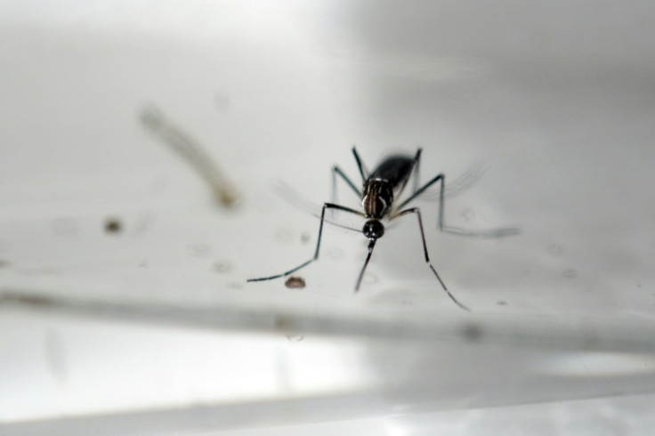 As infection rates of illnesses carried by mosquitoes increase, companies and researchers are racing to develop effective means of controlling the blood-sucking creatures' population
