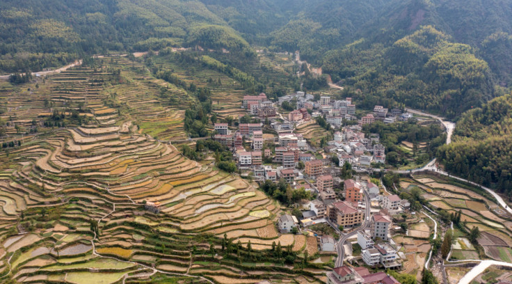 Aerial view of the Yunhe rice terraces