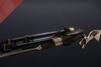 Destiny 2 Long Arm