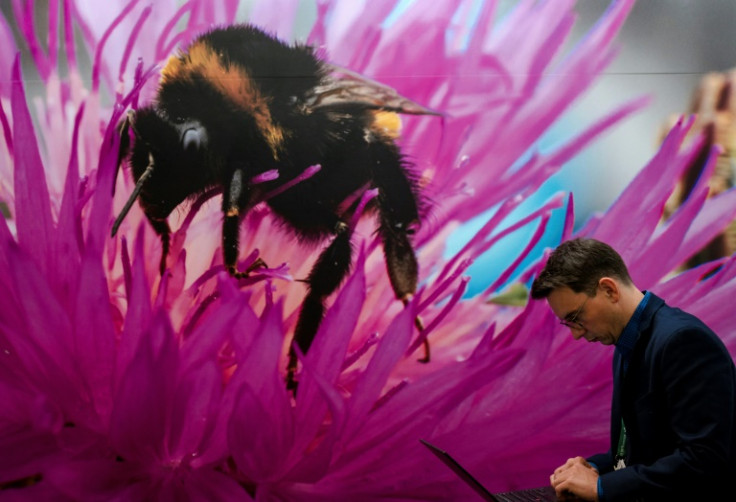 A million species are estimated to be under threat, according to scientists
