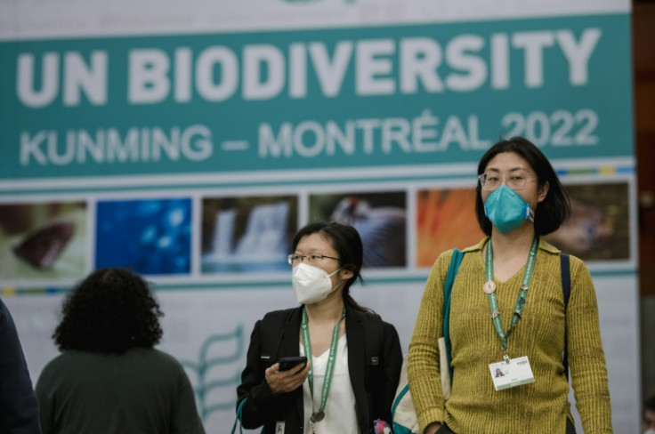 Officials at UN biodiversity negotiations said they were confident of securing a deal