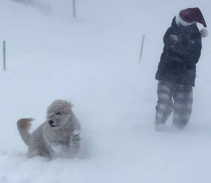 Lyla Kelly plays with her dog Maggie in the snow during a winter storm that hit East Amherst
