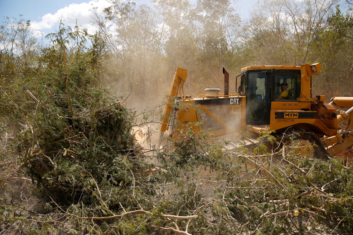 Collapse, Contamination: Mexican Scientists Sound Alarm At Mayan Train