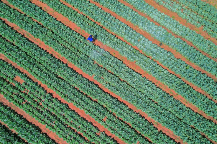 The use of chemical fertilisers helped fuel the four-fold expansion of the human population over the last century