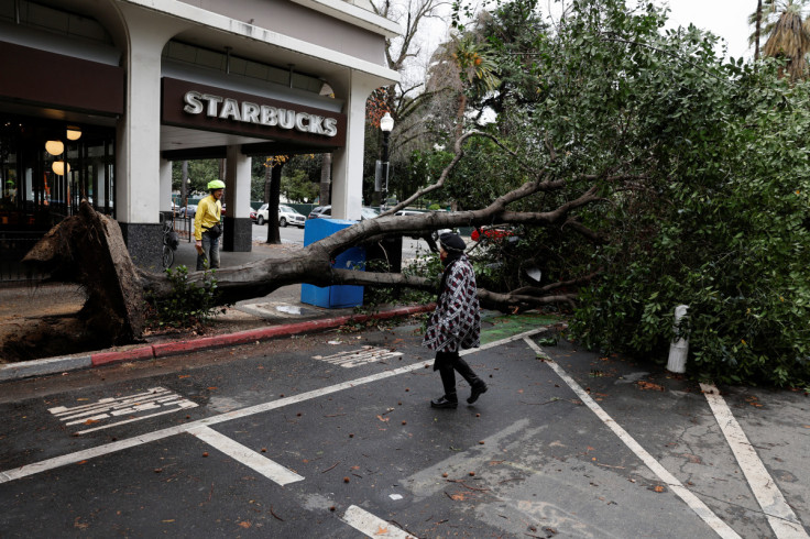 Pedestrians walk around a tree that fell during a storm in downtown Sacramento