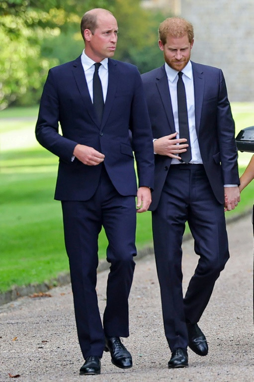 Harry has complained bitterly about being in the shadow of his elder brother William