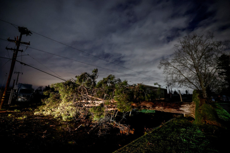 A tree blocks a roadway after it fell in high winds during a winter storm in West Sacramento