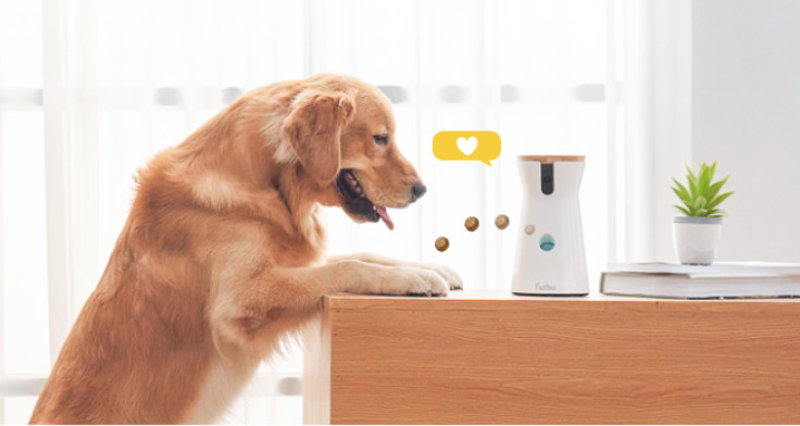 Furbo dog camera