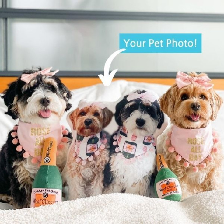 Budsies custom photo pillows