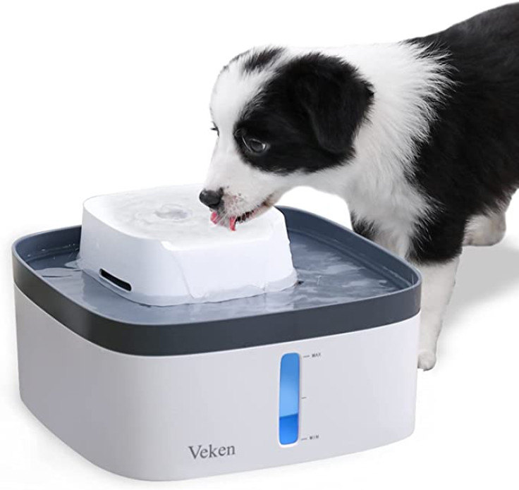 Veken pet water fountain