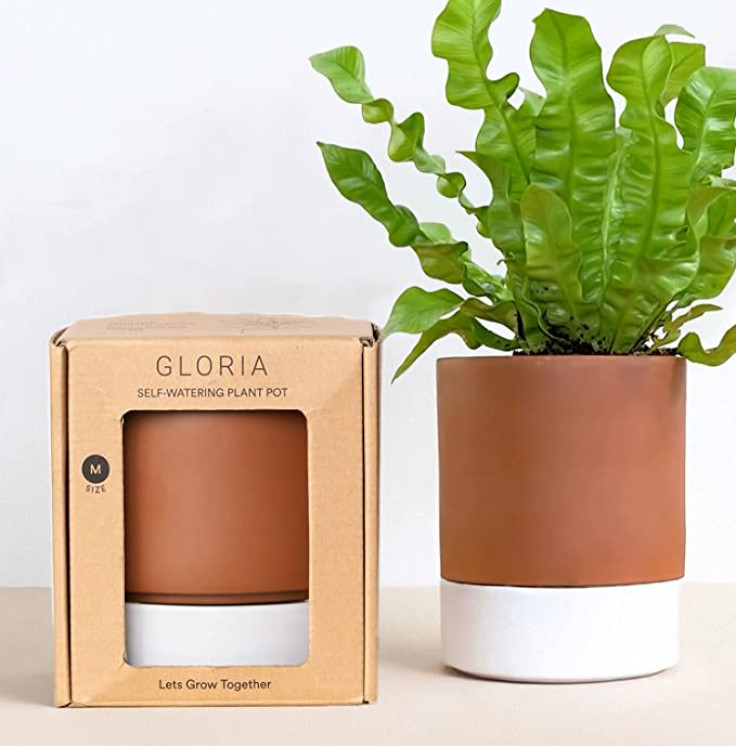 Innovative Self-Watering Planter