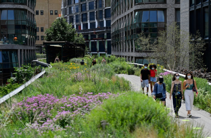 Those behind the scheme have taken inspiration from The High Line, a public park built on a historic freight rail line above Manhattan
