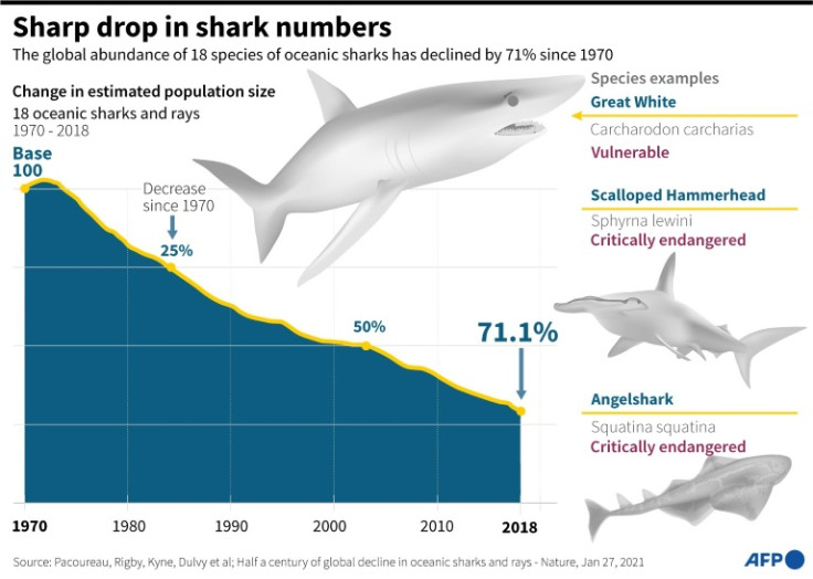 The global abundance of 18 sharks and rays has decined 71% since 1970