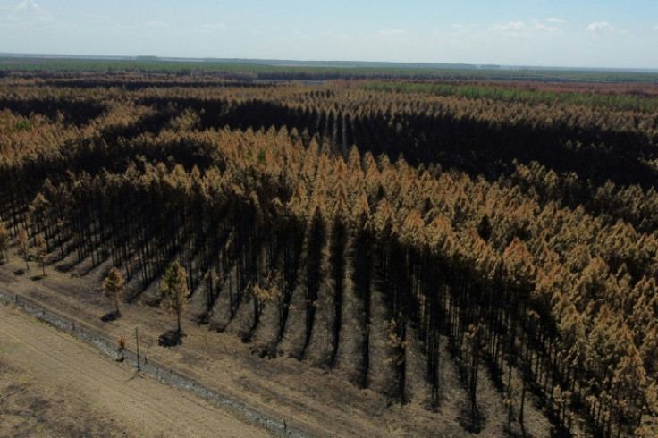 Conventional, tree-planting carbon dioxide removal must double by 2050 to keep the 1.5C target in play, and increase by 50 percent to keep warming under 2C