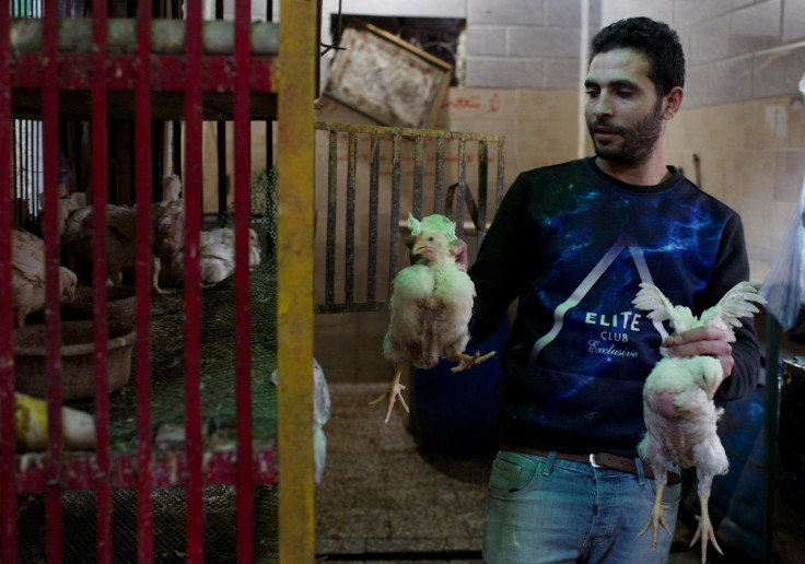 An Egyptian seller waits for customers to buy chicken at a popular market in Cairo