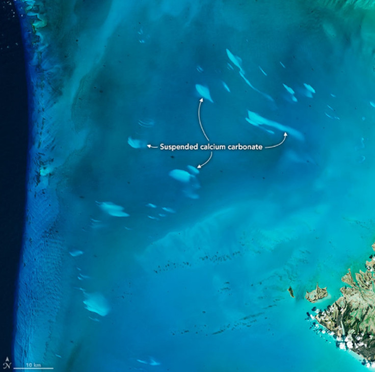 whiting events, Bahamas, Sea, water, satellite image, 