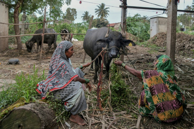Women who leave their devadasi order often find themselves destitute or struggling to survive on poorly paid manual labour and farming work