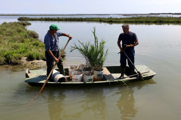 Venice lagoon in July 2020