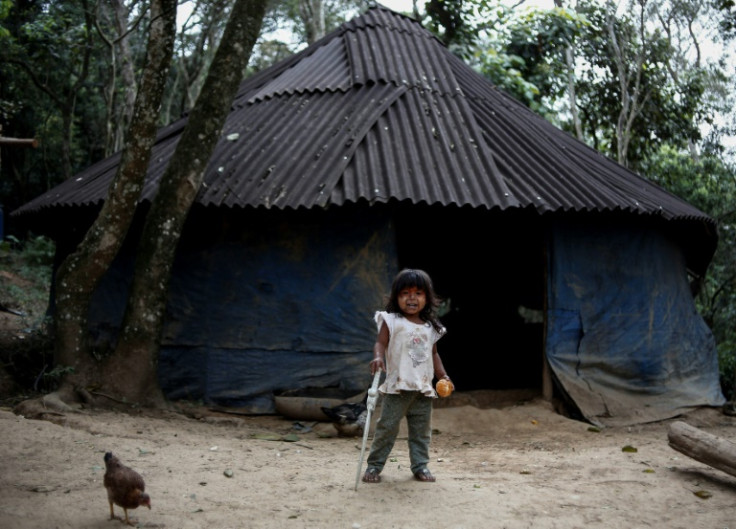 An Indigenous child from a Guarani tribe in the Pico de Jaragua national reserve, Sao Paulo