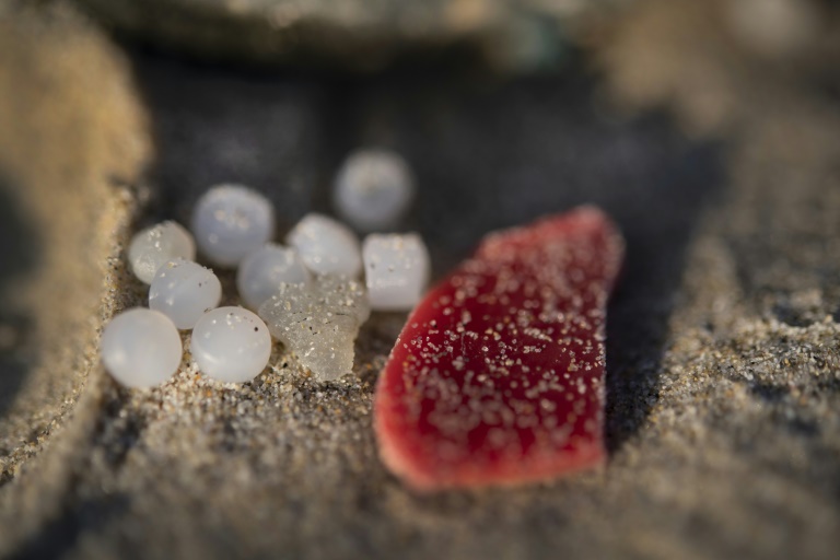 France To Probe Microplastic Pellet Pollution On Atlantic Beaches | IBTimes