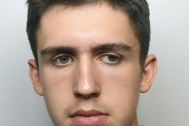Daniel Harris, 19, was called 'highly dangerous' and a 'propagandist for an extremist right-wing ideology' by the judge