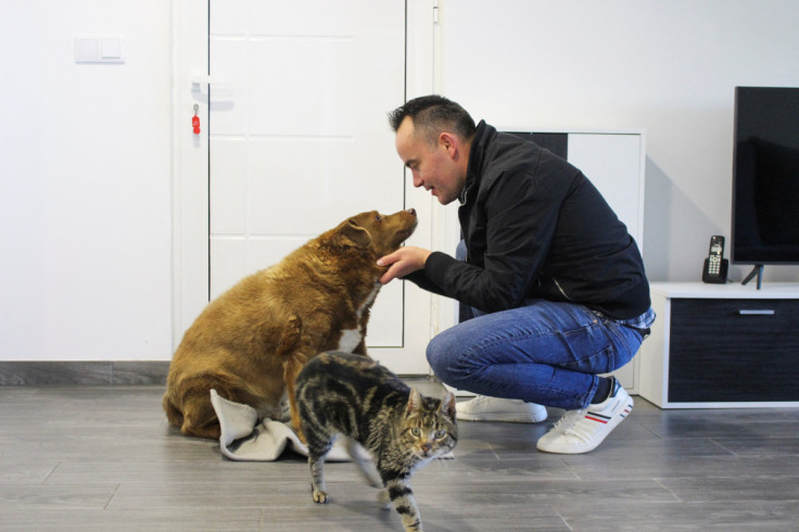 Leonel Costa caresses the dog, Bobi, that broke the record for oldest dog ever at 30 years-old, at Conqueiros, in Leiria