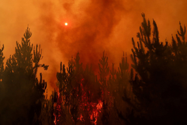 Wildfire burns in Chile