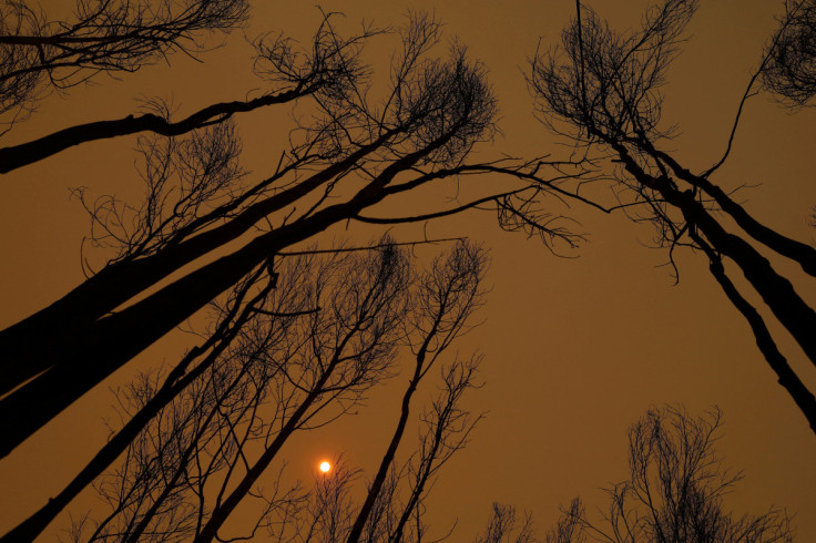 Wildfire near Concepcion