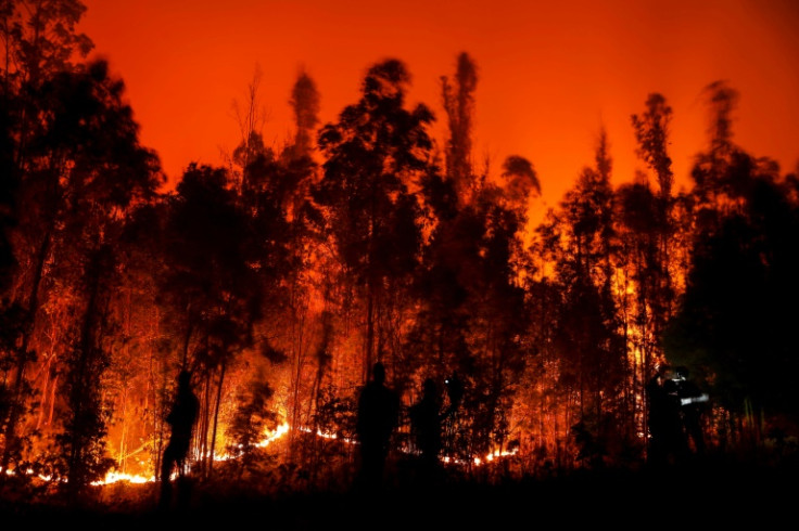 People battle a forest fire in the town of Puren in central Chile on February 4, 2023.
