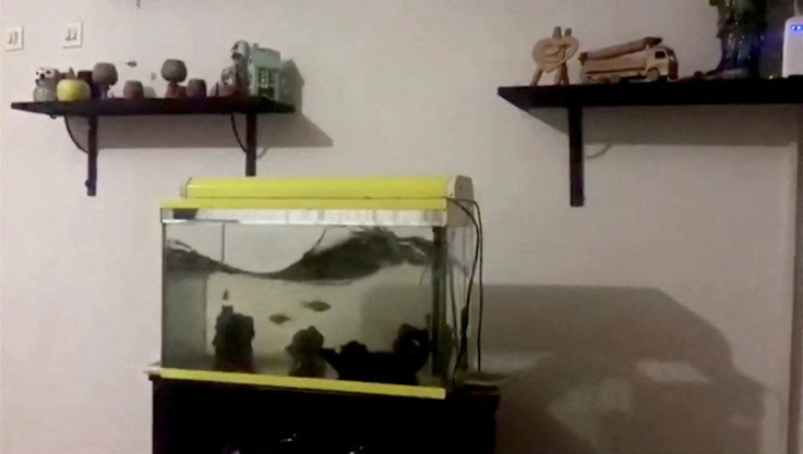 Water in a fish tank is shaken during an earthquake in Diyarbakir