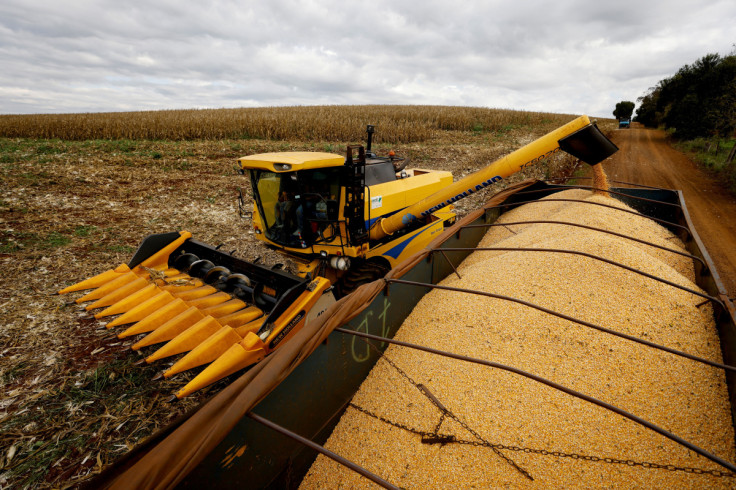 A farmer uses a machine to collect corn at a plantation in Maringa