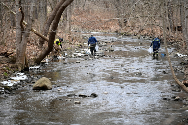 An environmental company is removing dead fish downstream from the site of the train derailment, in East Palestine