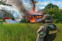A handout picture released by the Brazilian Institute of Environment and Renewable Natural Resources shows an agent watching as an aircraft belonging to illegal miners burns during operations against deforestation in the Yanomami Indigenous territory