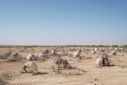 Ethiopia and other countries in the Horn of Africa are suffering the worst drought in four decades