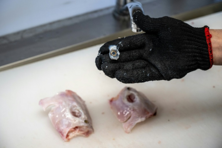 Fugu is often served raw at high-end restaurants in Japan, where chefs must hold a licence proving they can safely slice around organs that contain a lethal poison