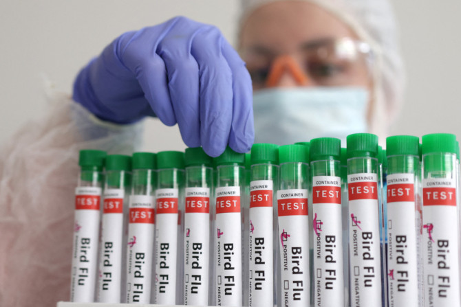 Illustration shows person touching test tube labelled "Bird Flu