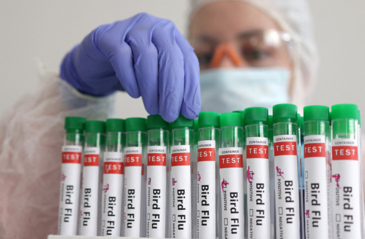 Illustration shows person touching test tube labelled "Bird Flu