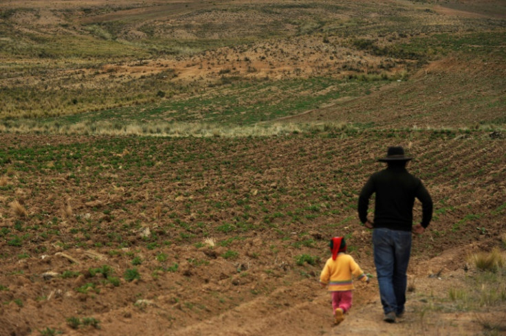 Normally, the region receives up to 70 percent of its annual rainfall between November and March, but in 2022, it came only at the end of December