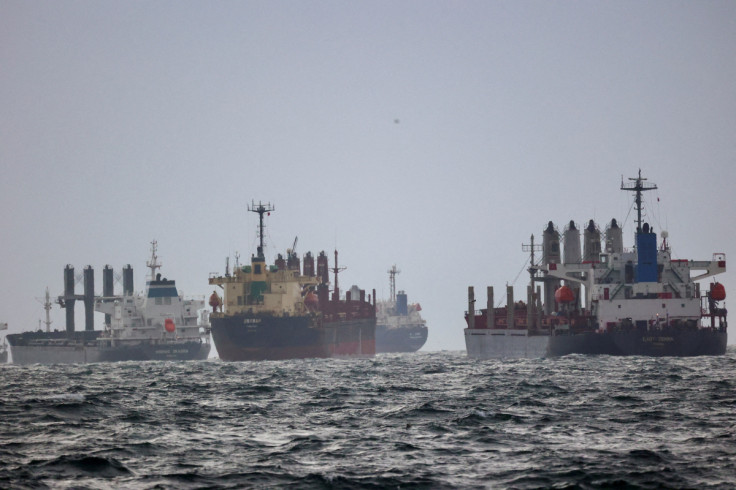 Vessels are seen as they wait for inspection under UN's Black Sea Grain Initiative in the southern anchorage of the Bosphorus in Istanbul