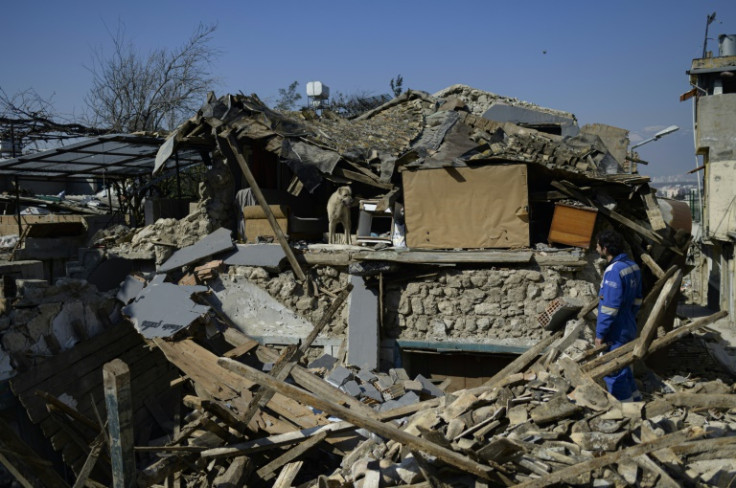 Rescue workers have saved hundreds of trapped cats, dogs, rabbits and birds cherished by the people of Antakya