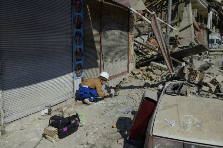 Haytap, a Turkish animal protection association, has been in the region to find trapped animals and take care of others