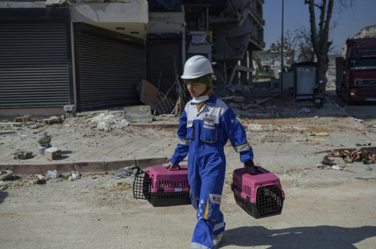 Animal rescue stories are a balm for the country, left in shock by the worst natural disaster in Turkey's post-Ottoman history