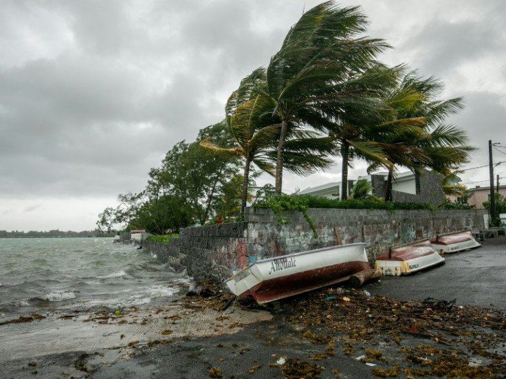 Winds whip through palm trees in the fishing village of Mahebourg in Mauritius