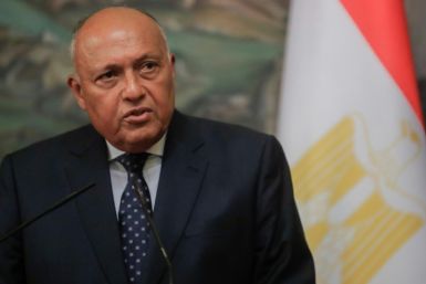 Egyptian Foreign Minister Sameh Shoukry, seen at a January 2023 press conference in Moscow, has announced visits to Turkey and Syria after devastating earthquakes killed thousands in both countries