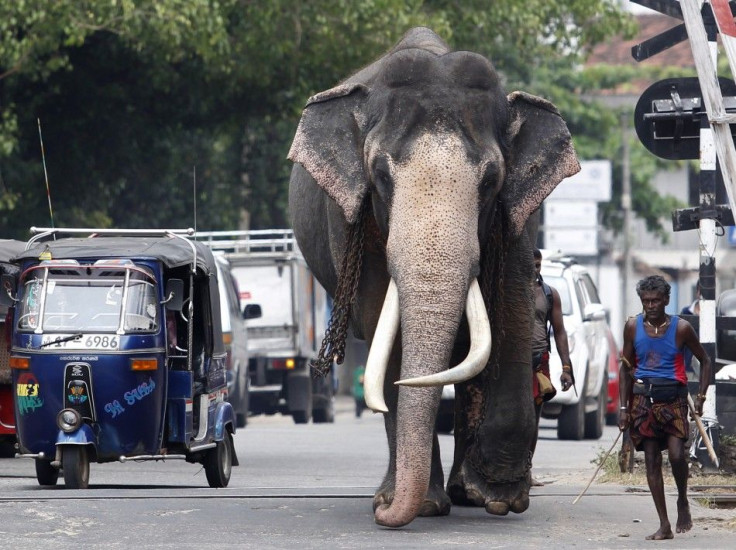 Sri Lanka