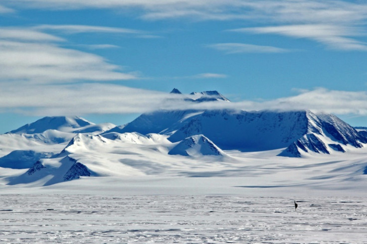 Antarctic sea ice has shrunk to a record low, US researchers say