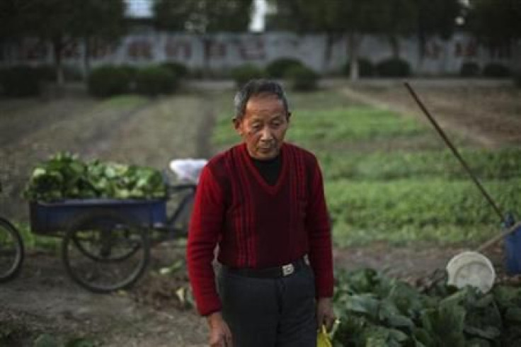 A man waits for his wife to hand over to him vegetables from their garden in the village of Zhaohang