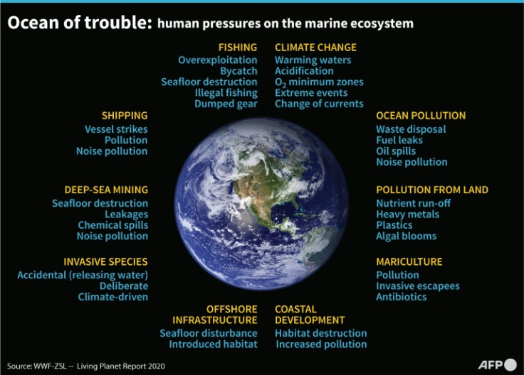 Graphic outlining the environmental degradation of the oceans caused by human activity.
